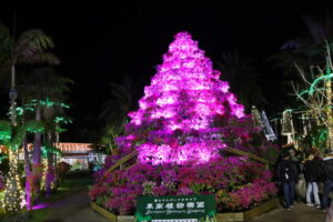 東南植物楽園 イルミネーション