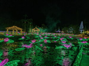 東南植物楽園 イルミネーション