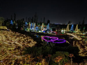 沖縄 東南植物楽園 