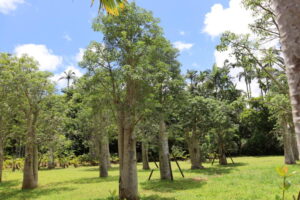 東南植物楽園