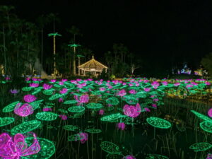 東南植物楽園イルミネーション