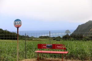 ちむどんどん西山原バス停