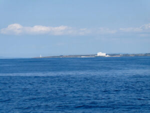 ホエールウォッチング