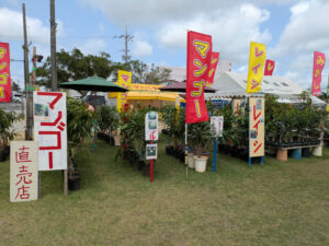中部広域グリーンフェスタ 大植木市